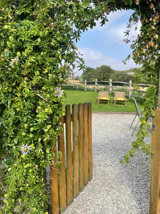 Holmdale Holiday Cottages Rye Exteriér fotografie